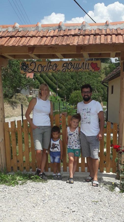Bed and Breakfast Turizam Koturovic Ivanjica Exterior foto